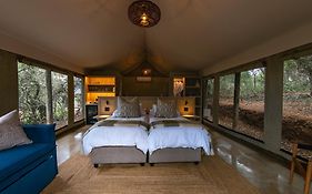 Addo Elephant Safari Lodge - Bellevue Forest Reserve